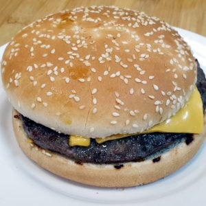 Plain cheese burger ( no sauce & no salad)